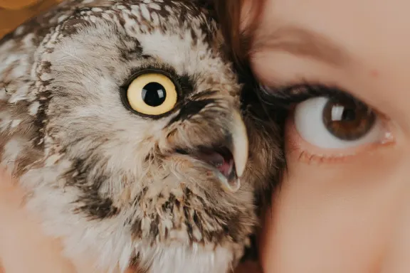 Casino Welcome Bingo Support